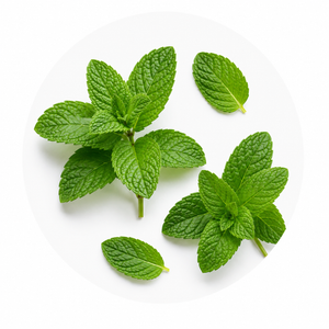 Peppermint Oil